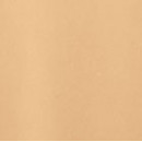 SHISEIDO Revitalessence Skin Glow