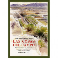 las Cosas del Campo - Guanxe Atlantic Marketplace