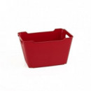 Ordenación Cesto-a 4613768