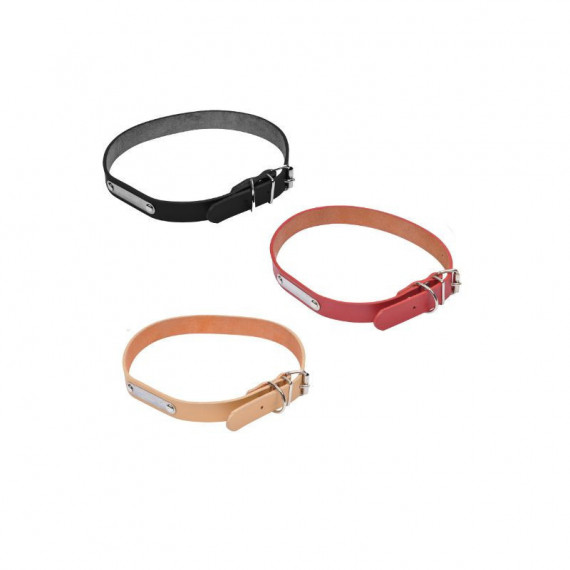 Mascotas Collar 7004597 - Guanxe Atlantic Marketplace