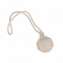 Mascotas Articulo Animales 7010283