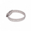 Mascotas Collar 7010336
