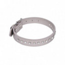 Mascotas Collar 7010341