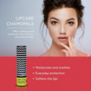 APIVITA Balsamo Labial Camomila SPF15