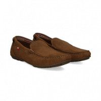Conductor Nobuck Vison  FLUCHOS - Guanxe Atlantic Marketplace