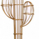 Alhajero cactus dorado