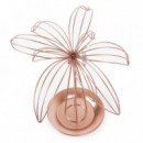 Alhajero palmera rosada