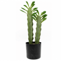 Cactus de 2 Brazos Artificial Realista 44 Cm GREEN ESSENTIALS®