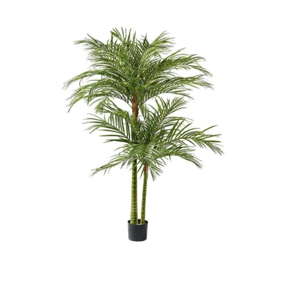 Palmera Artificial Realista 210 Cm GREEN ESSENTIALS®