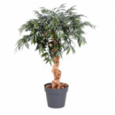 árbol Shirakashi Artificial Realista 120 Cm GREEN ESSENTIALS®