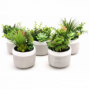 Suculenta Artificial Realista 16/18 Cm en Maceta de Cerámica GREEN ESSENTIALS®