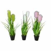 Hierba Grass con Plumas 53 Cm (venta por Unidad) GREEN ESSENTIALS®