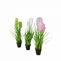 Hierba Grass con Plumas 53 Cm (venta por Unidad) GREEN ESSENTIALS®