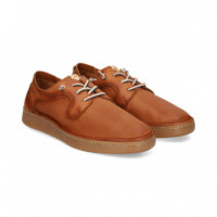 Blucher Sport Picado Piel Cuero  FLUCHOS - Guanxe Atlantic Marketplace