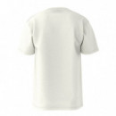 Camiseta Classic Print Box de VANS