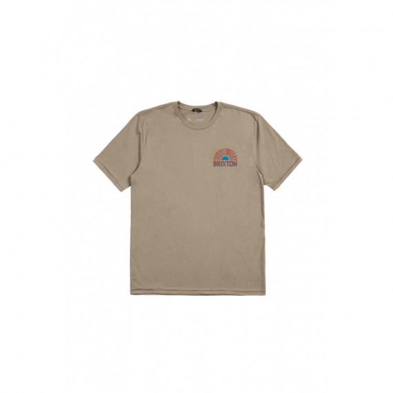 Camisetas Hombre Camiseta BRIXTON Fairview