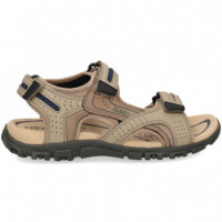 Sandalia Velcros Beige  GEOX