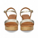 Carmelita Plataforma Met.platino  UNISA