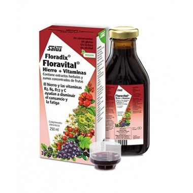 SALUS FLORADIX Floravital Hierro  Vitaminas 250