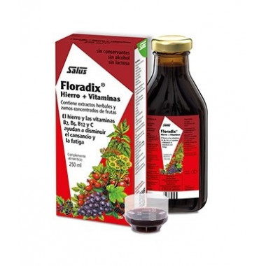 SALUS FLORADIX Hierro  Vitaminas 250 Ml