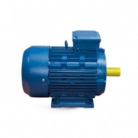 Motor Electrico IE2 B3 3HP 380V 1.400RPM AIRMEC
