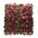 Jardin Vertical Serie Red Maple DONNA GARDEN 50X50 Cm
