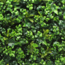 Jardin Vertical Serie Tropical DONNA GARDEN 50X50 Cm