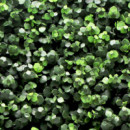 Jardin Vertical Serie Eucalyptus DONNA GARDEN 50X50 Cm