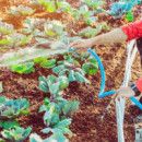 Manguera Agua 3 Capas  Serie Urano AIRMEC 19MMX25MT