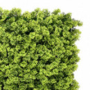 Jardin Vertical Serie Amaranto DONNA GARDEN 50X50 Cm