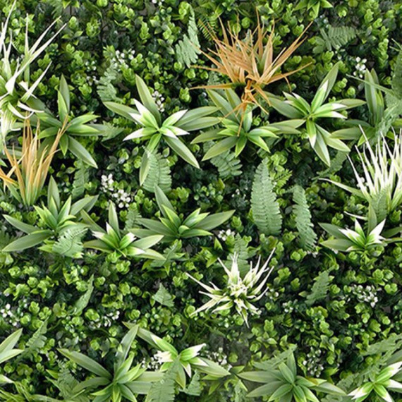 Jardin Vertical Serie Oliva DONNA GARDEN 100X100 Cm - Guanxe Atlantic Marketplace