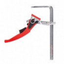 Tornillo Apriete con Leva 60X160MM AICER