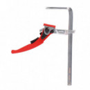 Tornillo Apriete con Leva 60X250MM AICER