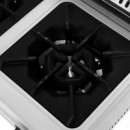 Cocina Gas Industrial 2 Fuegos LARRYHOUSE