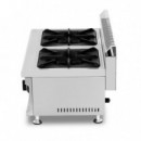 Cocina Gas Industrial 2 Fuegos LARRYHOUSE