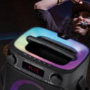 Altavoz Serie Dance 6.5" Bateria 300W LARRYHOUSE