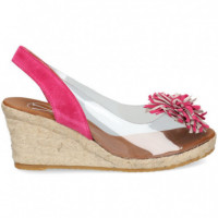 ABIERTO P Y T MONA FUXIA+VINILO