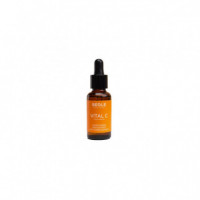 SEGLE Vital C Serum Facial