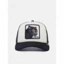Gorra de la Colección "the Farm" - "the Panther" de Goorin Bros.  GOORIN BROS