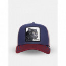 Gorra de la Colección "the Farm" - "the Panther" de Goorin Bros.  GOORIN BROS