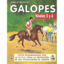 Curso de Equitación. Galopes Niveles 5 y 6