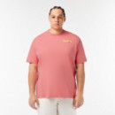 Camisetas Hombre Camiseta LACOSTE Efecto Lavado Degradé Rosa