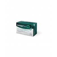 Gestagyn Men 60 Capsulas  GYNEA LAB