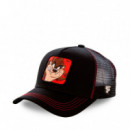 Gorra Looney Tunes Demonio de Tasmania  CAPSLAB