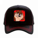 Gorra Looney Tunes Demonio de Tasmania  CAPSLAB