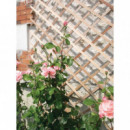 Celosia de Madera 0,5X1,5M