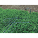 Nort Grapas Metal (10) Verde