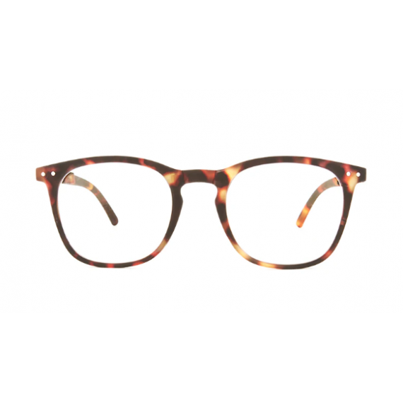 GAFAS FOLDING COMPUTER GLASSES +3.00 HAVANA NORD