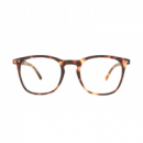 GAFAS FOLDING COMPUTER GLASSES HAVANA +1 NORDICV