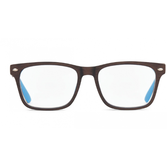 Gafas NORDICVISION Gotland Brown 1.5